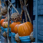 ハロウィンパーティー開催！仮装でご来店の方にドリンクサービス